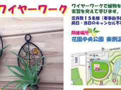 みどりの教室「ワイヤーワーク」