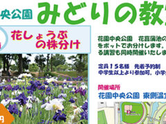 第4回 みどりの教室「花しょうぶの株分け」