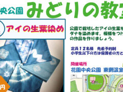 第5回 みどりの教室「藍の生葉染め」