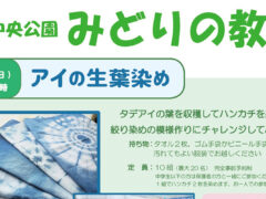 花園中央公園　みどりの教室「アイの生葉染め（ハンカチ）」