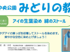 みどりの教室「アイの生葉染め 綿のストール」