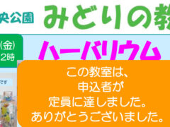 みどりの教室「ハーバリウム」