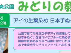 みどりの教室「アイの生葉染め　日本手ぬぐい」