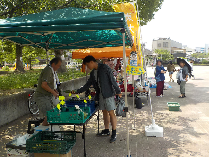7月6日(日)三ノ瀬公園でのハッピーカラーマルシェの様子