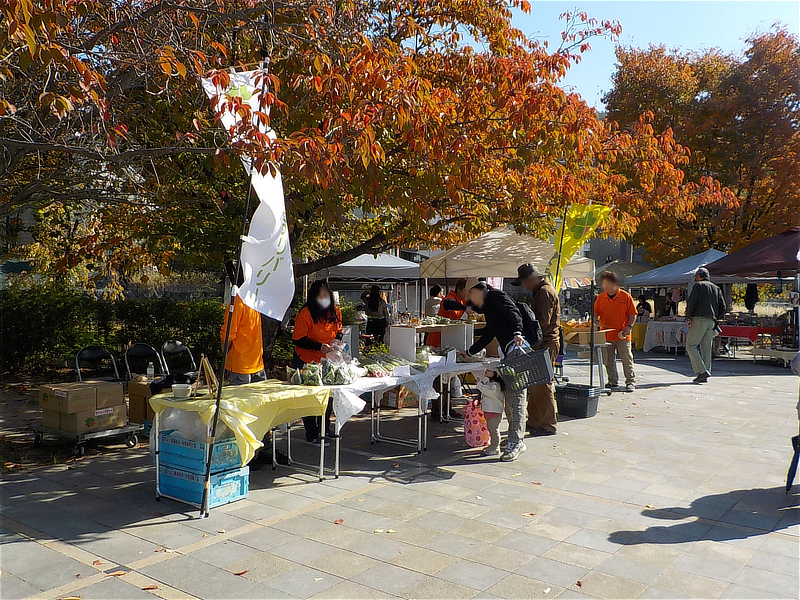 11/8(土)東石切公園で開催されたSAKURAZAKAマルシェの様子  